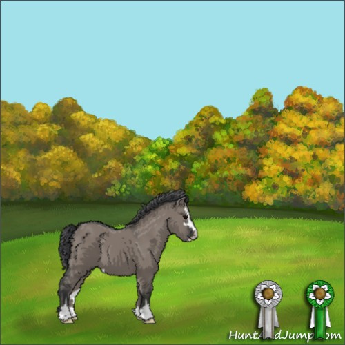 Horse Color:Grullo Sabino 