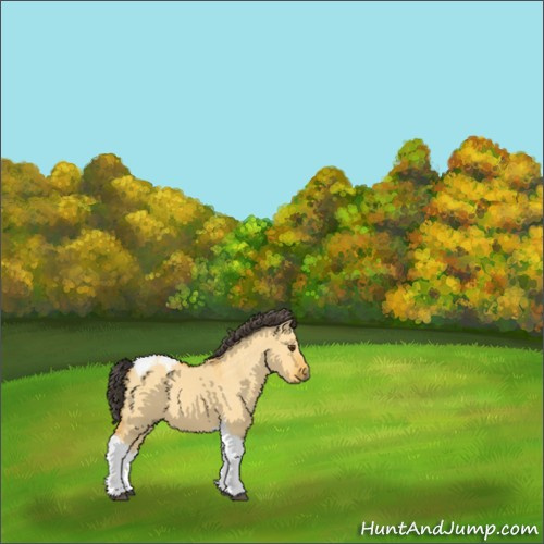 Horse Color:Buckskin Dun Tobiano 