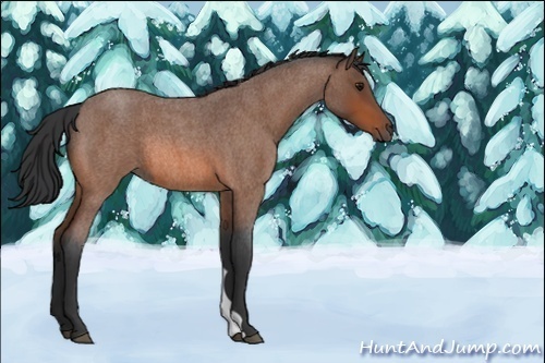 Horse Color:Bay Roan Rabicano 