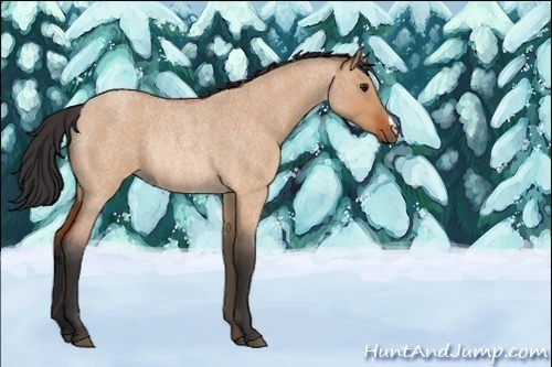 Horse Color:Bay Roan Dun Rabicano 