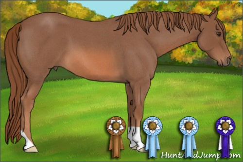 Horse Color: Liver Red Roan 