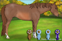 Horse Color:Liver Red Roan 