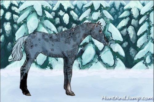 Horse Color:ERROR: UNKNOWN ANOMALY