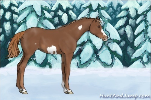 Horse Color:Chestnut Frame 