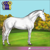Horse Color:Chestnut Frame
