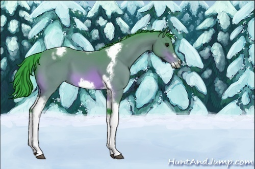 Horse Color:Unknown 