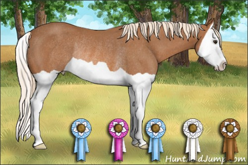 Horse Color: Chestnut Splash Rabicano 