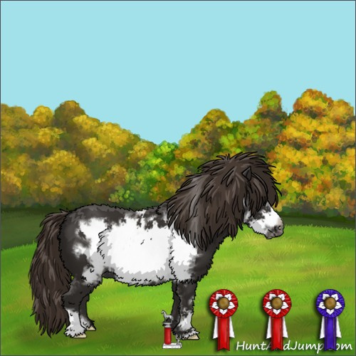 Horse Color:Liver Chestnut Frame 