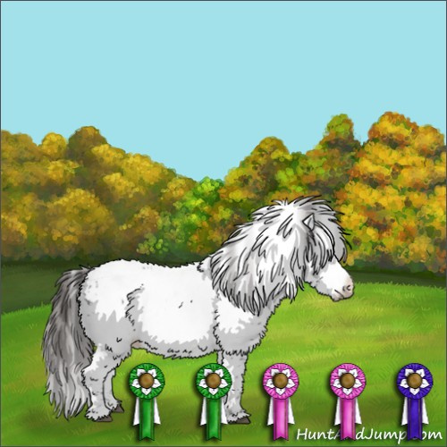 Horse Color:Liver Chestnut Frame 