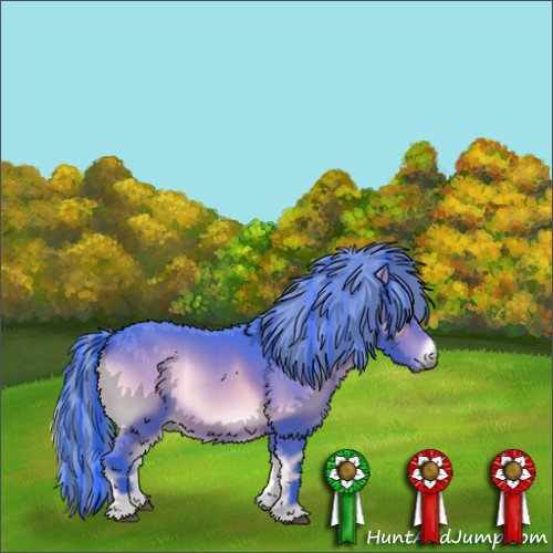 Horse Color:Painted Watercolor Buckskin Onyx 