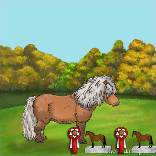 Horse Color:Silver Bay 
