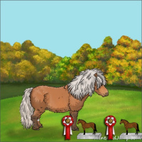 Horse Color:Silver Bay 