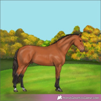 Horse Color:Brown 