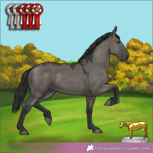 Horse Color:Grullo 