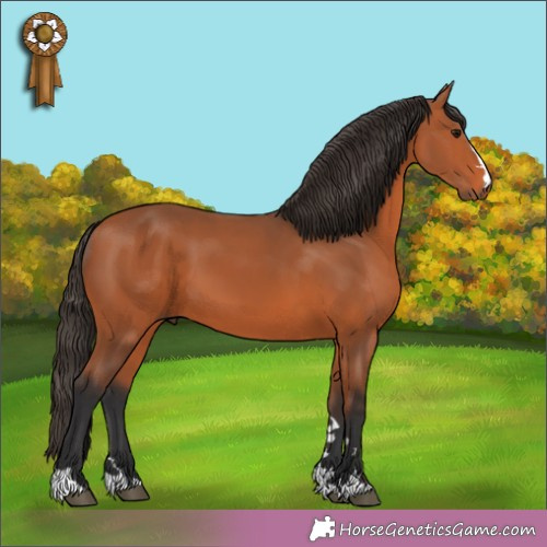 Horse Color:Unknown 