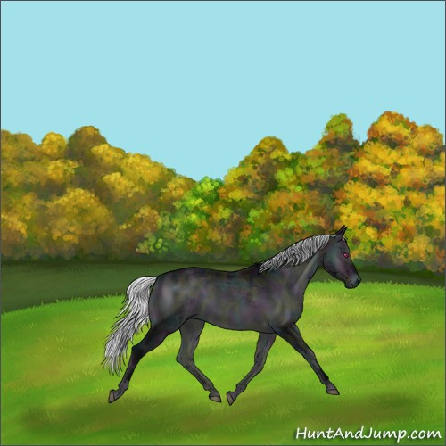 Horse Color:Midnight Silver Brown Chinchilla Onyx 