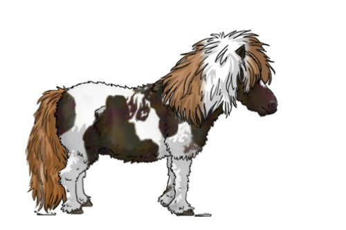 Horse Color:Midnight Chestnut Tobiano 