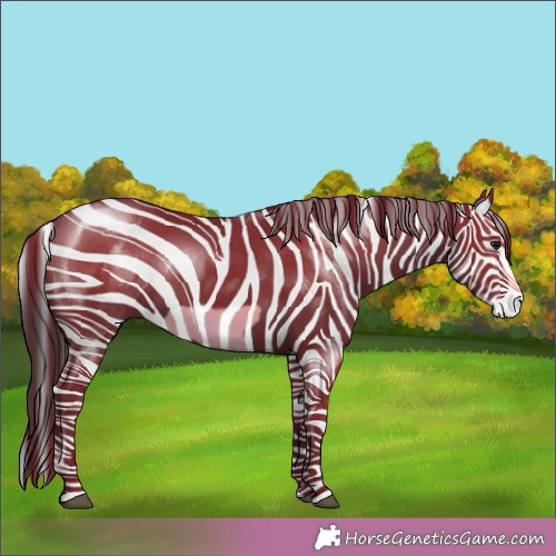 Horse Color:Smoky Black Frame 