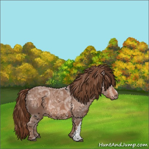 Horse Color:Chestnut Ice 