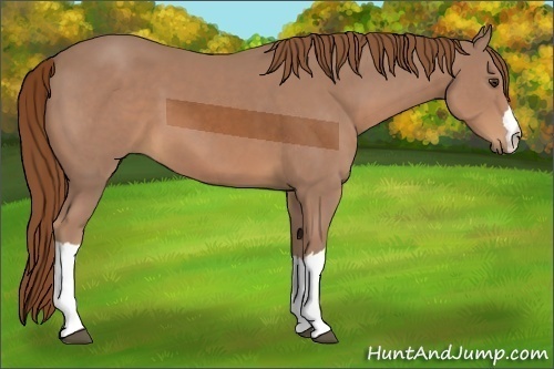 Horse Color:Chestnut Ice 