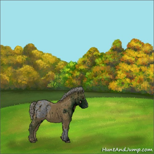 Horse Color:ERROR: UNKNOWN ANOMALY