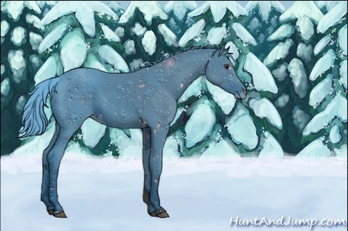 Horse Color:ERROR: UNKNOWN ANOMALY