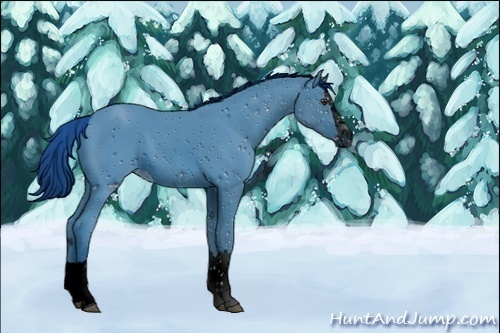 Horse Color:ERROR: UNKNOWN ANOMALY