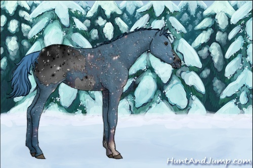 Horse Color:ERROR: UNKNOWN ANOMALY