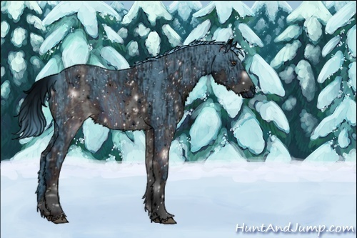 Horse Color:ERROR: UNKNOWN ANOMALY