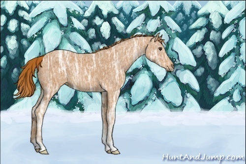 Horse Color:ERROR: UNKNOWN ANOMALY