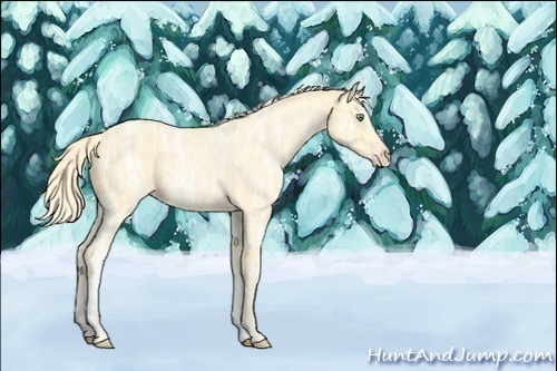 Horse Color:ERROR: UNKNOWN ANOMALY