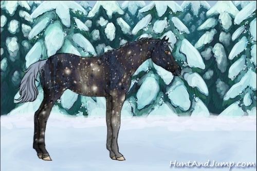 Horse Color:ERROR: UNKNOWN ANOMALY