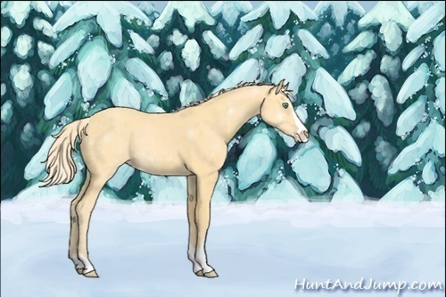 Horse Color:ERROR: UNKNOWN ANOMALY