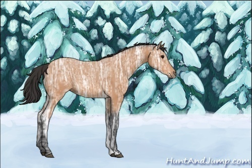 Horse Color:ERROR: UNKNOWN ANOMALY