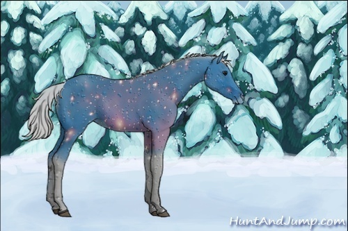 Horse Color:ERROR: UNKNOWN ANOMALY