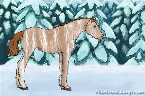 Horse Color:ERROR: UNKNOWN ANOMALY