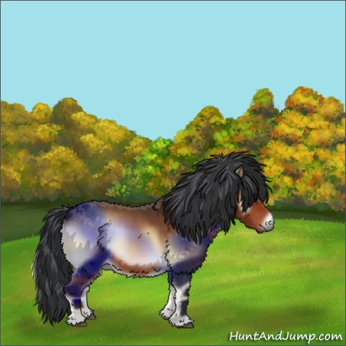 Horse Color:Bay Onyx Mushroom 