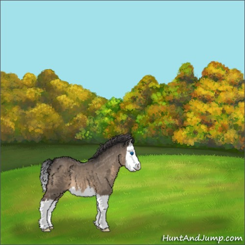 Horse Color:Brown Dun Sabino Splash 