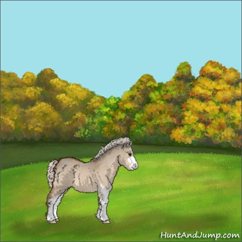 Horse Color:Silver Bay Dun Sabino 