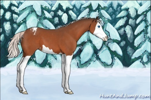 Horse Color:Silver Bay Splash Blanket 