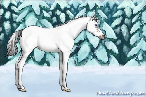 Horse Color:White Spotted Brown Splash Frame Varnish 