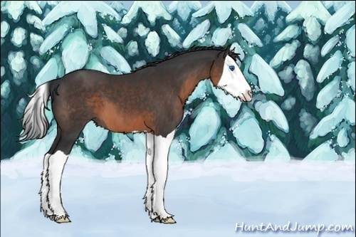 Horse Color:Brown Splash 