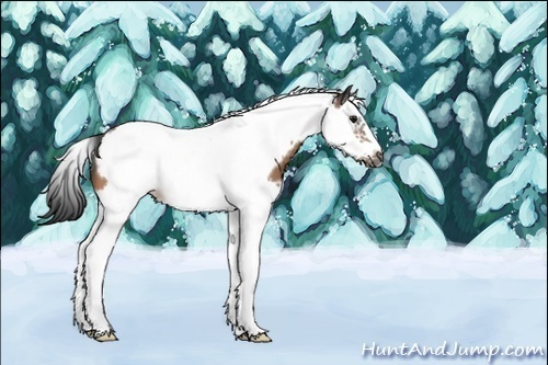 Horse Color:Buckskin Splash Tobiano Frame 