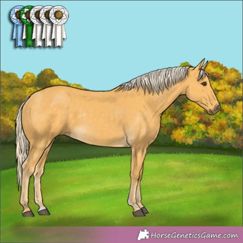 Horse Color:Palomino 