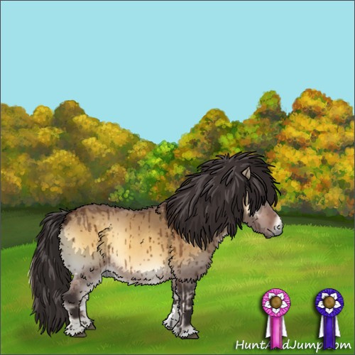 Horse Color:Buckskin Onyx Brindle 