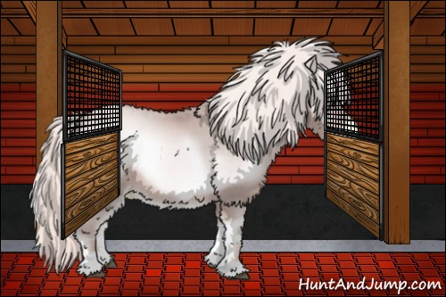 Horse Color:Platinum Chocolate Palomino Pearl Onyx 