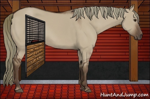 Horse Color:Liver Red Dun Mushroom 