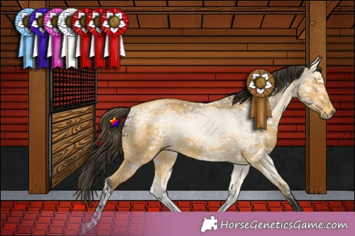 Horse Color:Buckskin Ice Dun 