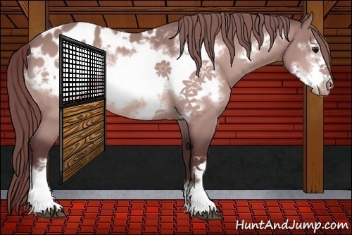 Horse Color:Platinum Chocolate Buckskin Frame Blanket 