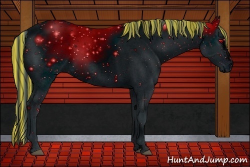 Horse Color: ERROR: UNKNOWN ANOMALY